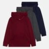 Friboo 3 PACK - Kapuzenpullover - Multi-coloured/blue/dark Red