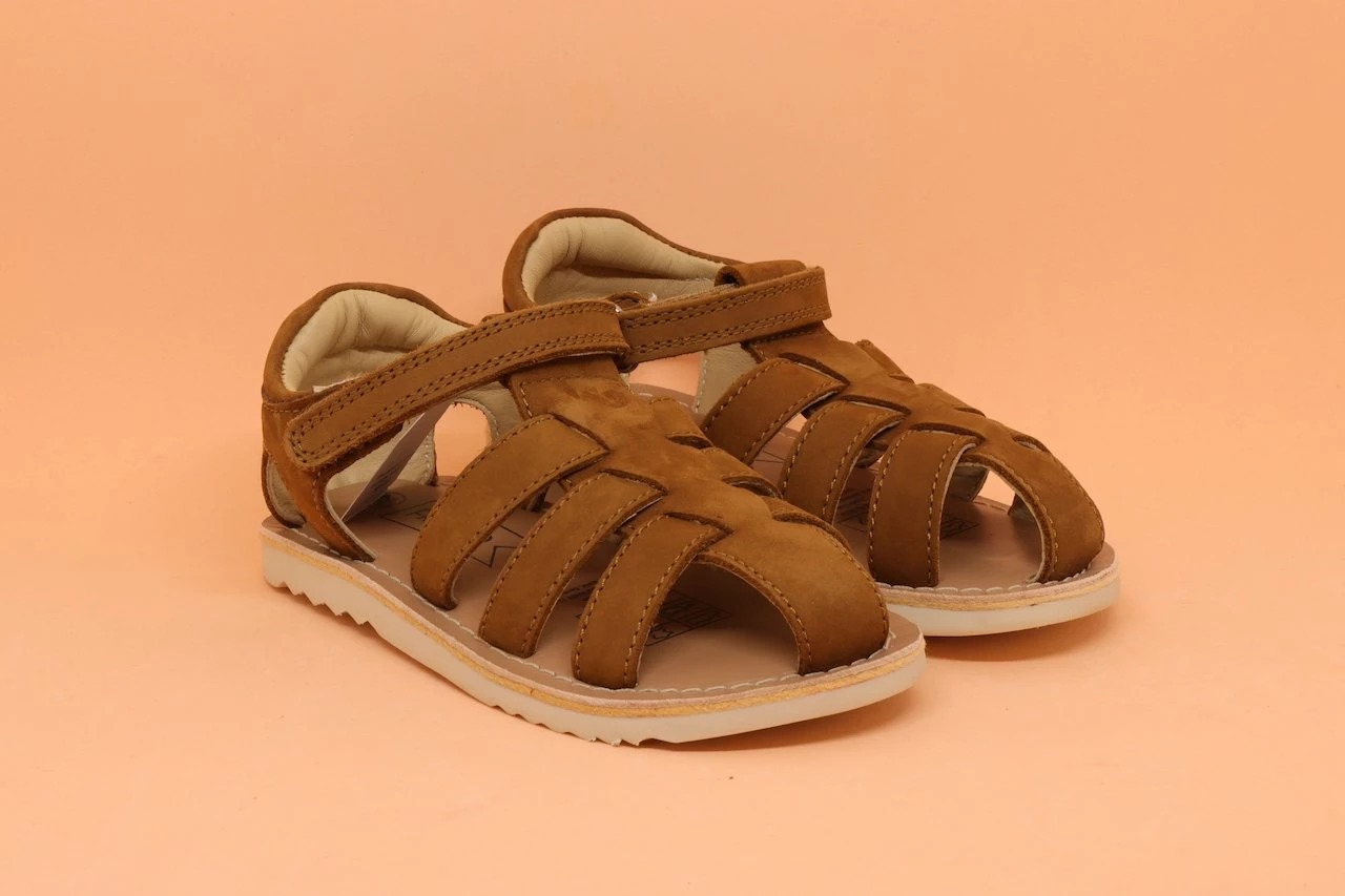 Titelseite -Friboo Geschaft IMG 0060 f42d6274 9c0f 425e 9c69