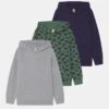 Friboo HOODIE 3 PACK - Sweatshirt - Blue/olive/light Grey